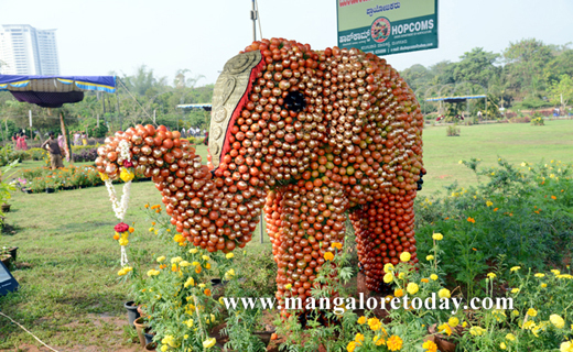 flower sho in kadri